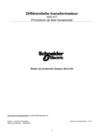Schneider Electric Différentielle transformateur -ANSI 87T- Procédure de test hexaphasé et outil Mode d'emploi | Fixfr