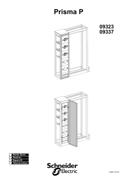 Schneider Electric P front plate support frame Mode d'emploi