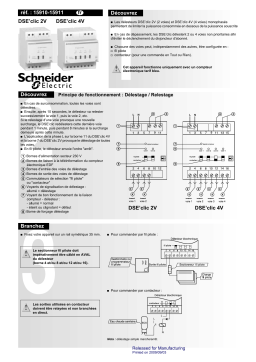 Schneider Electric DSE'clic 2V/4V Mode d'emploi