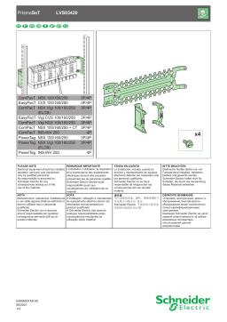 Schneider Electric M.plate 3-4 V. fix. NS-INS250 tog. Manuel utilisateur