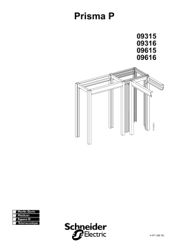 Schneider Electric ANGLE UNIT D400-PRISMA P Mode d'emploi