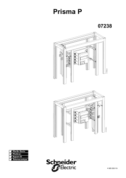 Schneider Electric Prefabricated connection Mode d'emploi