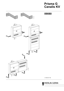 Schneider Electric 2 special wall fixing lugs Mode d'emploi