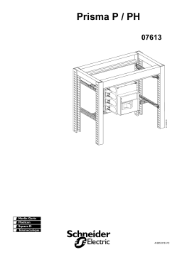 Schneider Electric P.M PL NS630-1600 HZ Mode d'emploi