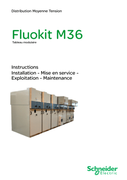 Schneider Electric Fluokit M36 Mode d'emploi