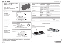 Schneider Electric XUYAFL966S Plastic fibre optic brightness sensor Manuel utilisateur