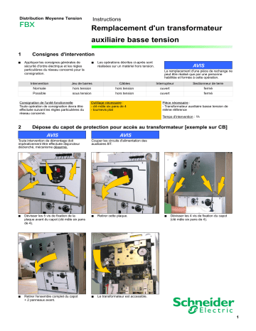 Schneider Electric Remplacement Mode d'emploi | Fixfr