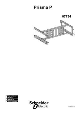 Schneider Electric M.PLATE NS400-630 3P HORIZONTAL P Mode d'emploi