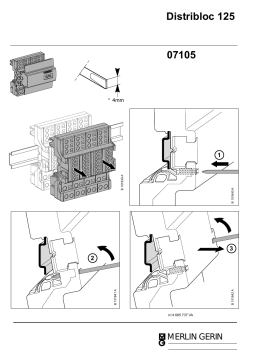 Schneider Electric DISTRIBLOC 125A Mode d'emploi