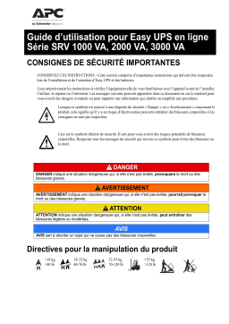 Schneider Electric Easy UPS On-Line Manuel utilisateur
