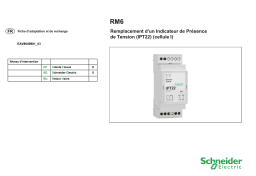 Schneider Electric INDICATEUR DE PRESENCE DE TENSION IPT Mode d'emploi