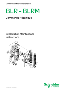 Schneider Electric BLR - BLRM Commande mécanique - Exploitation - Maintenance Mode d'emploi