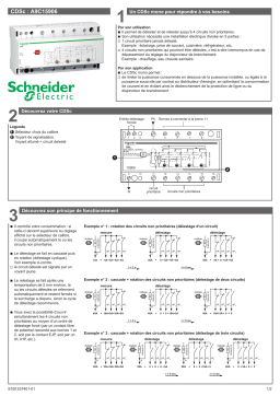 Schneider Electric CDSc contacteur délesteur à seuil cyclique monophasé - A9C15906 Manuel utilisateur