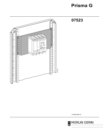 Schneider Electric M.PLATE NS400-630 VERTICAL G Mode d'emploi | Fixfr