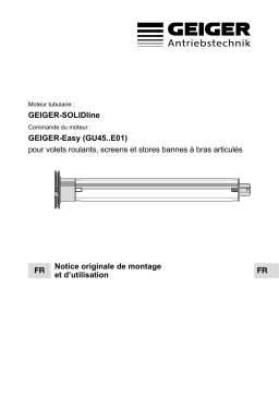 GEIGER SOLIDline Easy Mode d'emploi