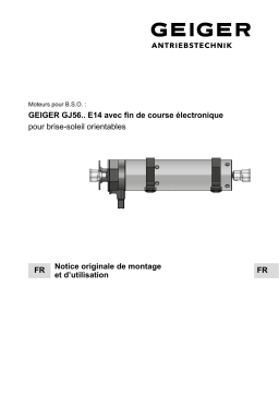 GEIGER GJ56.. E14 Mode d'emploi