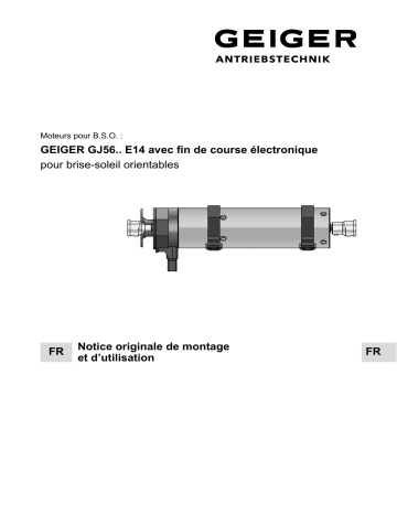 GEIGER GJ56.. E14 Mode d'emploi | Fixfr