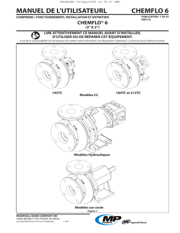 MP Pumps CHEMFLO 6 Manuel utilisateur | Fixfr