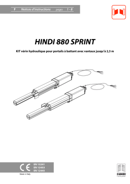 Fadini hindi880sprint Manuel utilisateur