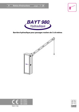 Fadini bayt980 Manuel utilisateur