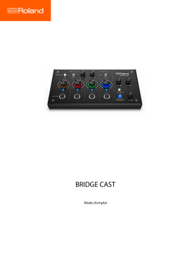 Roland BRIDGE CAST Dual Bus Gaming Mixer Manuel du propriétaire