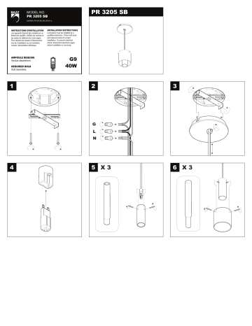 BAZZ PR3205SB Duo-Flora Collection 1-Light Chrome Pendant Guide d'installation | Fixfr