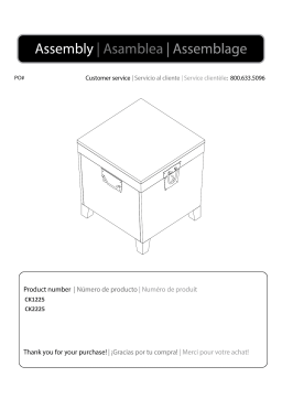 Southern Enterprises HD101255 Jennifer Mission Oak Trunk End Table Mode d'emploi