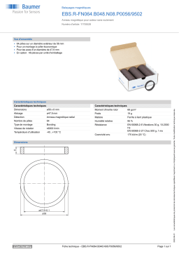 Baumer EBS.R-FN064.B048.N08.P0056/9502 Magnetic scale Fiche technique