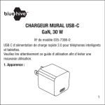 BlueHive 30 Watt USB-C Fast Charge PD Wall Charger Manuel du propri&eacute;taire