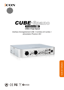 Icon Cube6Nano(Pro DriveIII) Interface Manuel utilisateur