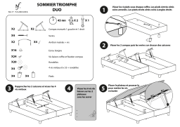 NUIT FAUBOURG coffre manuel 2x100x200 cm Sommier TRIOMPHE anthracite Mode d'emploi