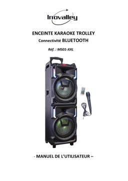 INOVALLEY Ms01xxl Enceinte Nomade Karaoke Trolley - Bluetooth - 800w Manuel utilisateur