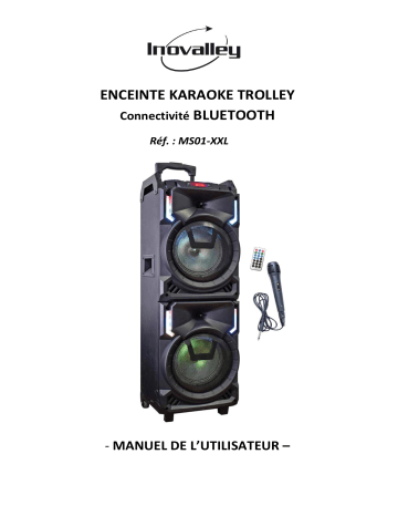 INOVALLEY Ms01xxl Enceinte Nomade Karaoke Trolley - Bluetooth - 800w Manuel utilisateur | Fixfr