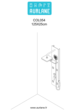 Aurlane Colonne De Douche Hydromassante - 25x125x6cm - Verre Gris 6mm - Epsilon 2 Mode d'emploi