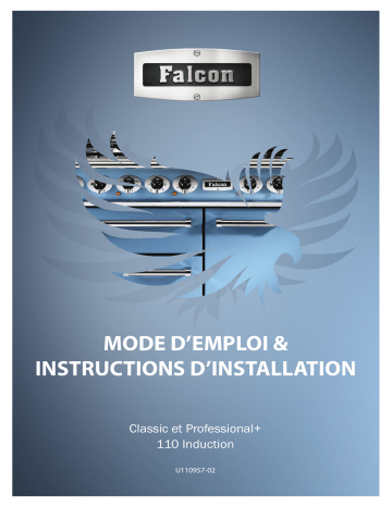 Falcon Piano de cuisson PROP110EISS/C-EU 110cm Inox Manuel utilisateur | Fixfr