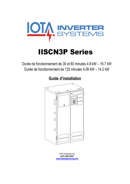 IOTA IISCN3P Three-Phase Central Inverters Guide d'installation