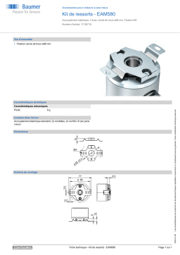 Baumer Set of spring washers - EAM580 Mounting hollow shaft encoder Fiche technique