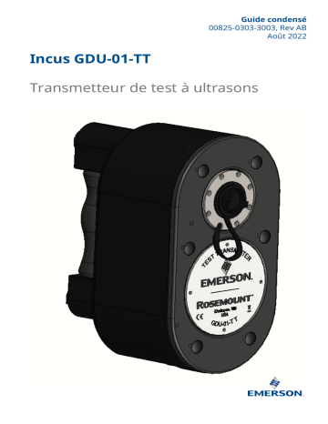Rosemount Incus GDU-01-TT Mode d'emploi | Fixfr