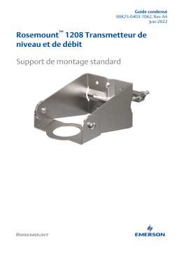 Rosemount 1208 Transmetteur de niveau et de débit Support de montage standard Mode d'emploi