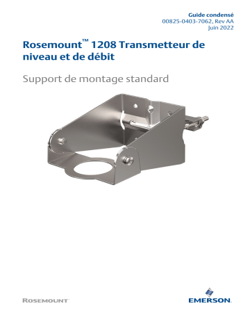Rosemount 1208 Transmetteur de niveau et de débit Support de montage standard Mode d'emploi | Fixfr