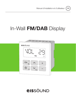 EisSound FM/DAB Display Control Unit Manuel utilisateur