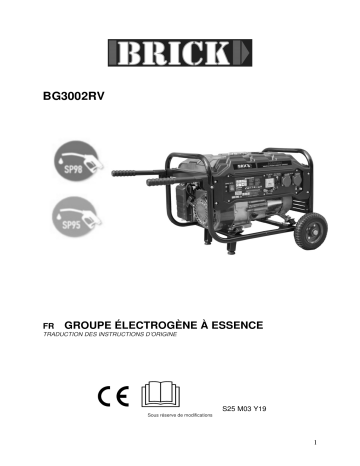 BRICK BG3002RV GENERATEUR MAX Manuel du propriétaire | Fixfr