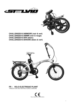 STELVIO CHALLENGE010-36BMR VELO ELECTRIQUE 36V-LI-NOIR MAT ROUGE Manuel du propriétaire