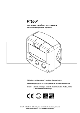 Fluidwell F110 Flow rate Indicator / Totalizer Manuel du propriétaire