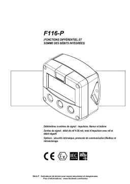 Fluidwell F116 Differential / Sum Flow Computer Manuel du propriétaire