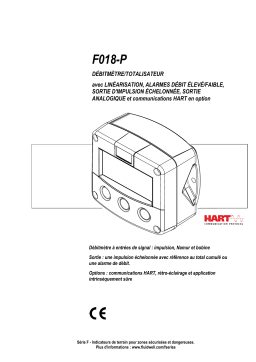 Fluidwell F018 Flow rate Monitor / Totalizer Manuel du propriétaire