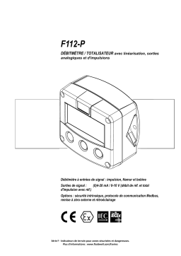 Fluidwell F112 Flow rate Indicator / Totalizer Manuel du propriétaire