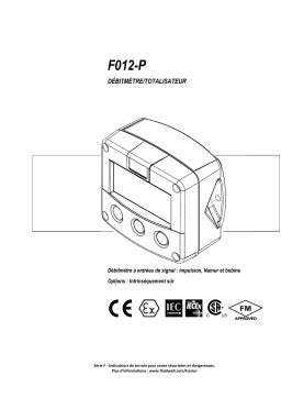 Fluidwell F012 Flow rate Indicator / Totalizer Manuel du propriétaire