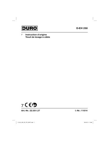 Duro D-EH 250 Electric Hoist Mode d'emploi | Fixfr