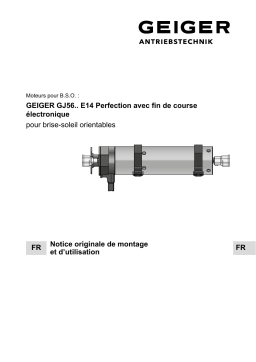 GEIGER GJ56.. E14 Perfection Mode d'emploi